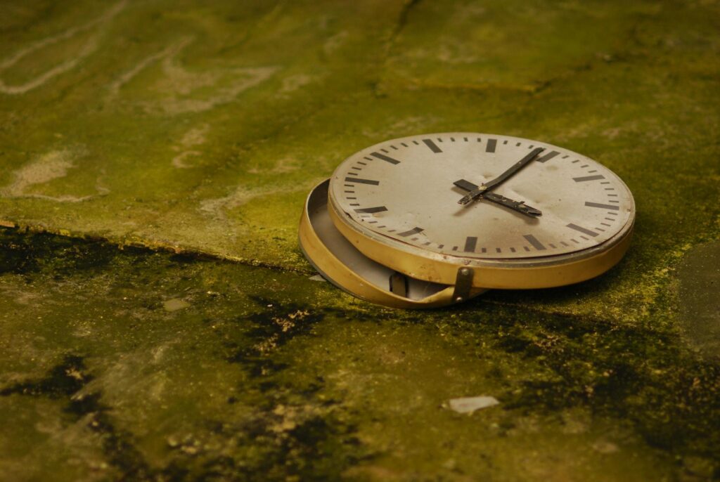 broken watch on a moss covered ground