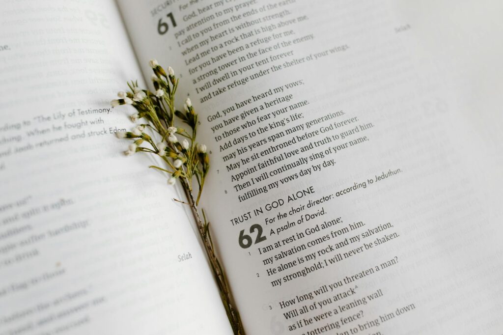 cluster of small white flowers between pages of an open book