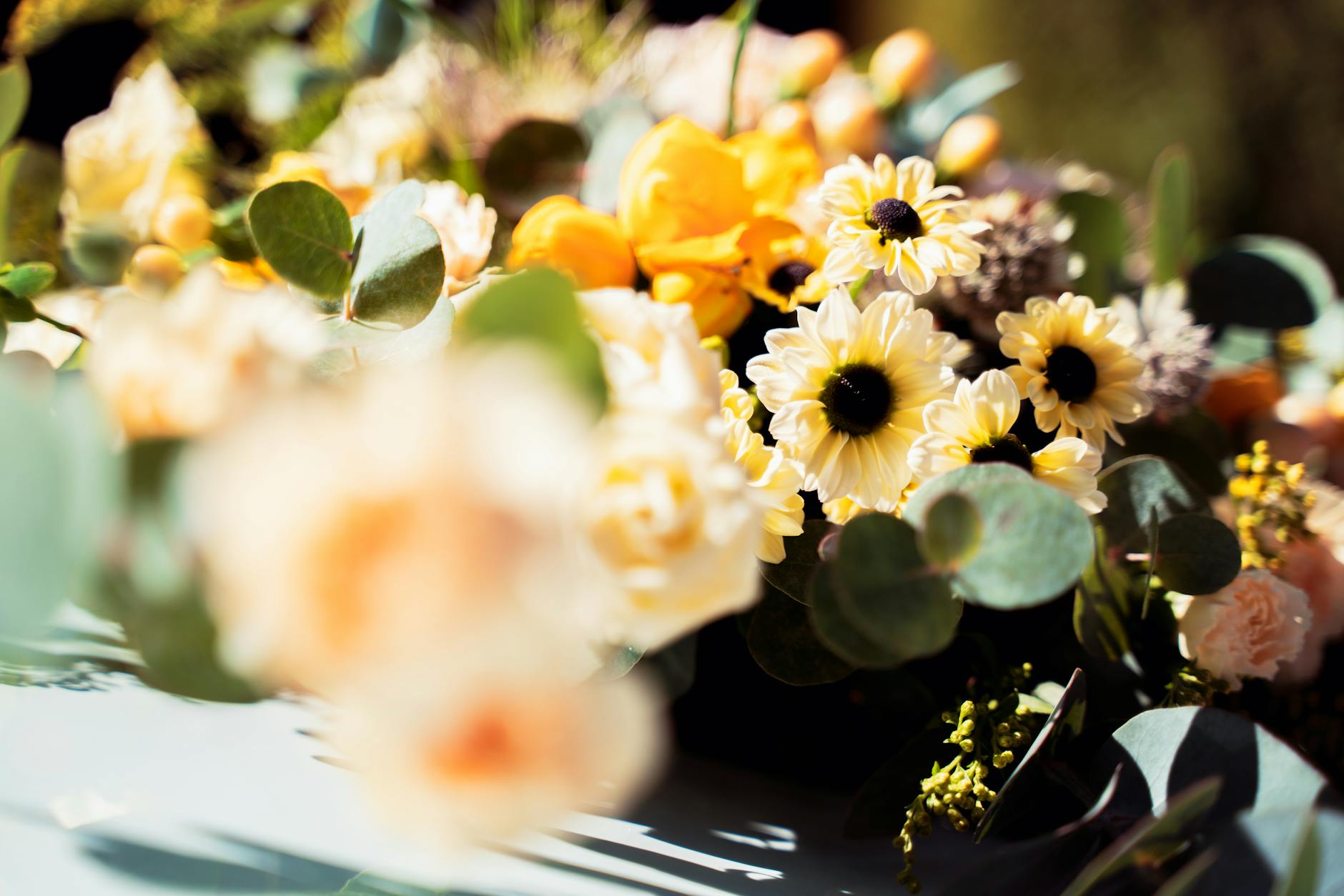 white and yellow flowers