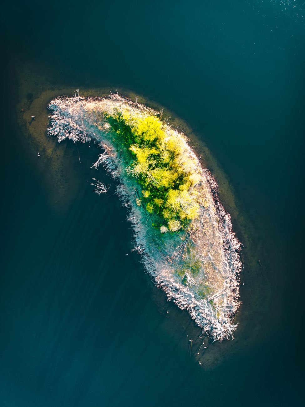 top view of a small island with trees on a body of water